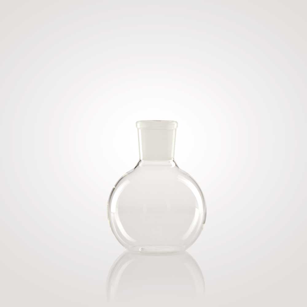 Gömblombik rövid nyakkal